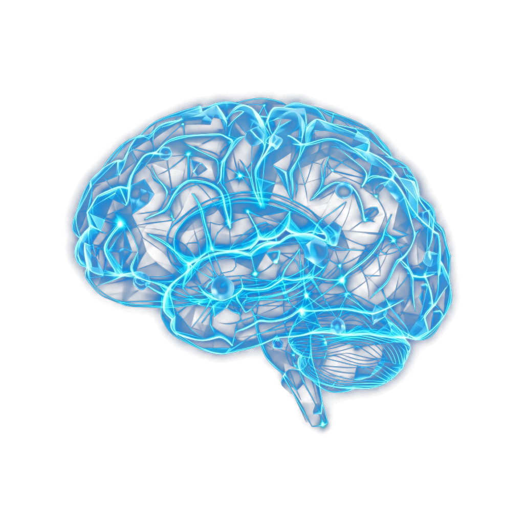 3D Mind Visualization